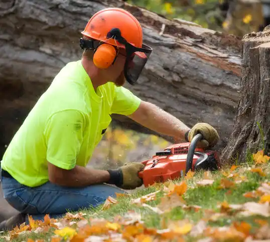 tree services Tyro